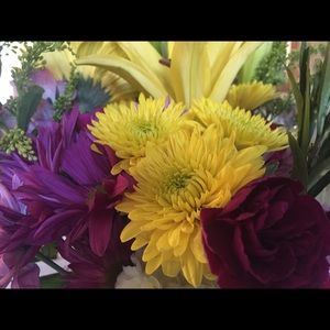 Meet your Posher, Cathy